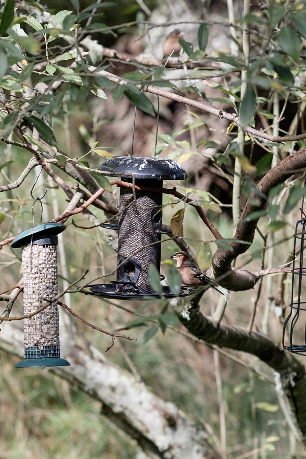 Siskin Guest Suite Kinrara Kültér fotó