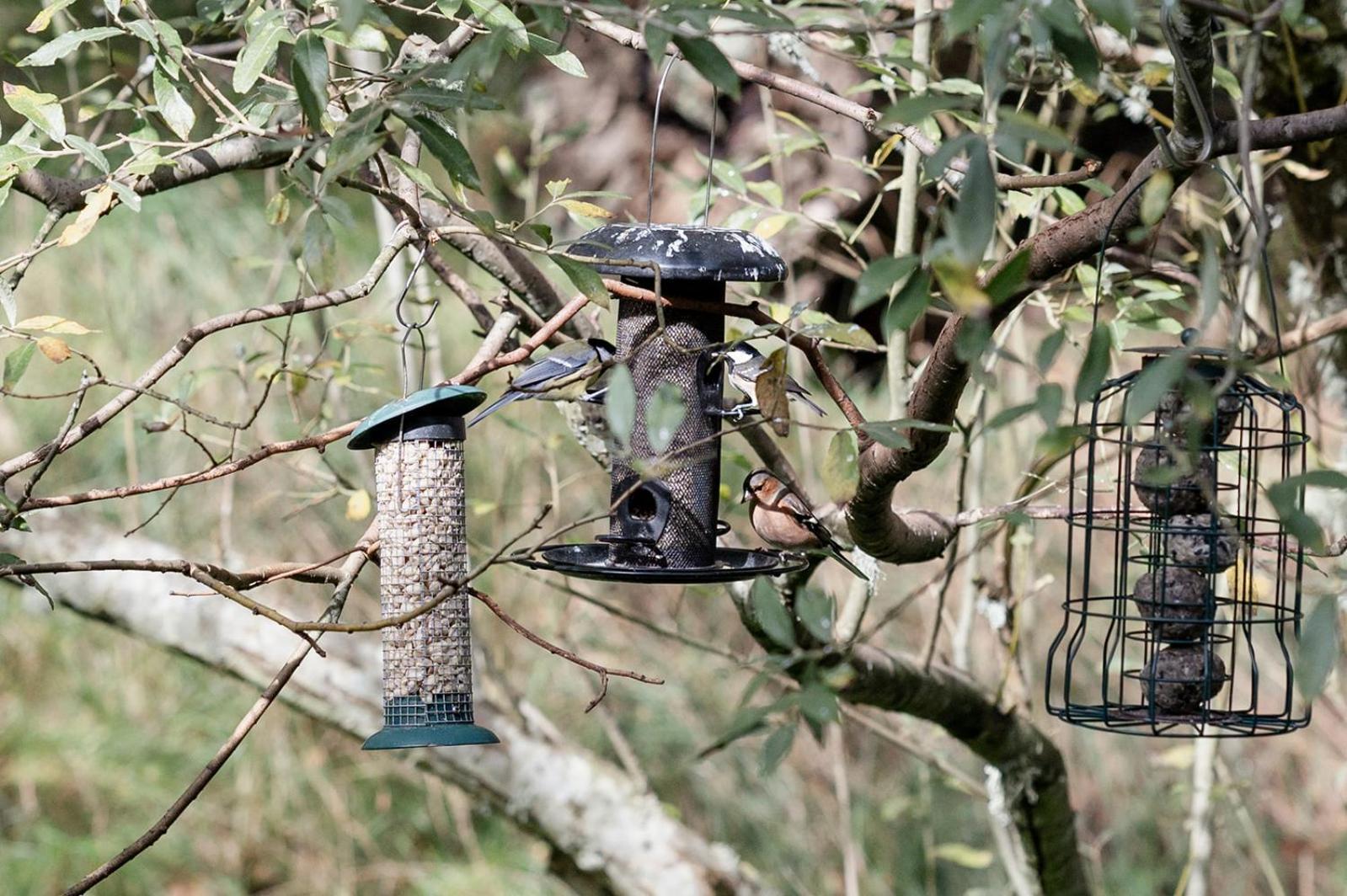 Siskin Guest Suite Kinrara Kültér fotó